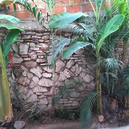 Apartamento Palito De Coco